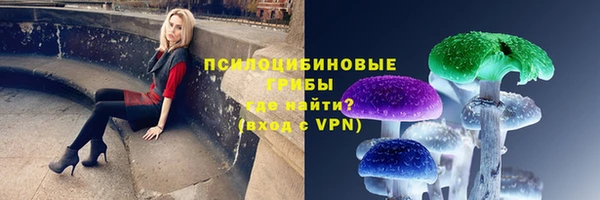 эйфоретик Алексеевка