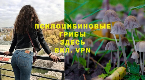 эйфоретик Алексеевка