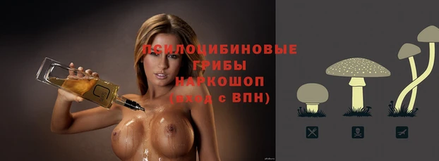 МДПВ Алексин