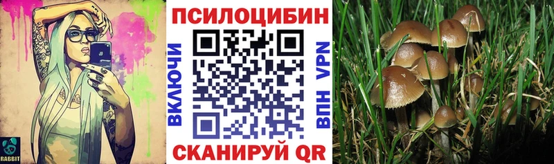 Псилоцибиновые грибы MAGIC MUSHROOMS  гидра зеркало  Камызяк 